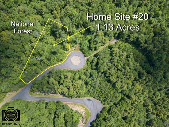 Property Photo: 20 Waterthorn Road 20 NH 03185