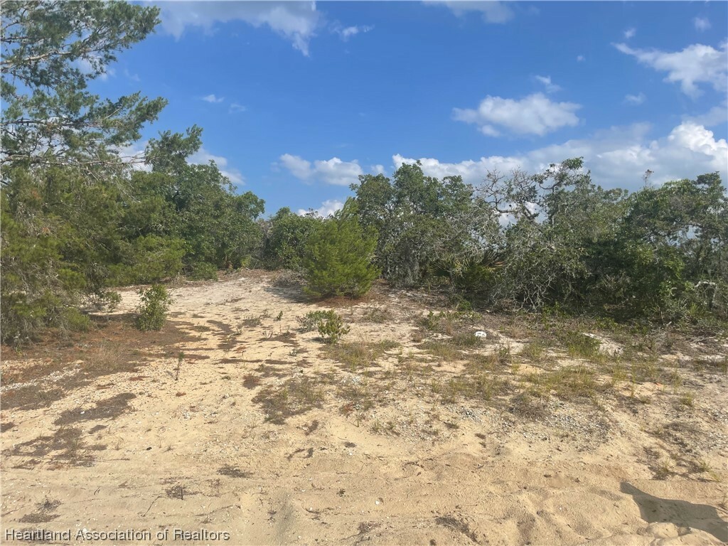 Property Photo: 447 Blackbird Court FL 33852