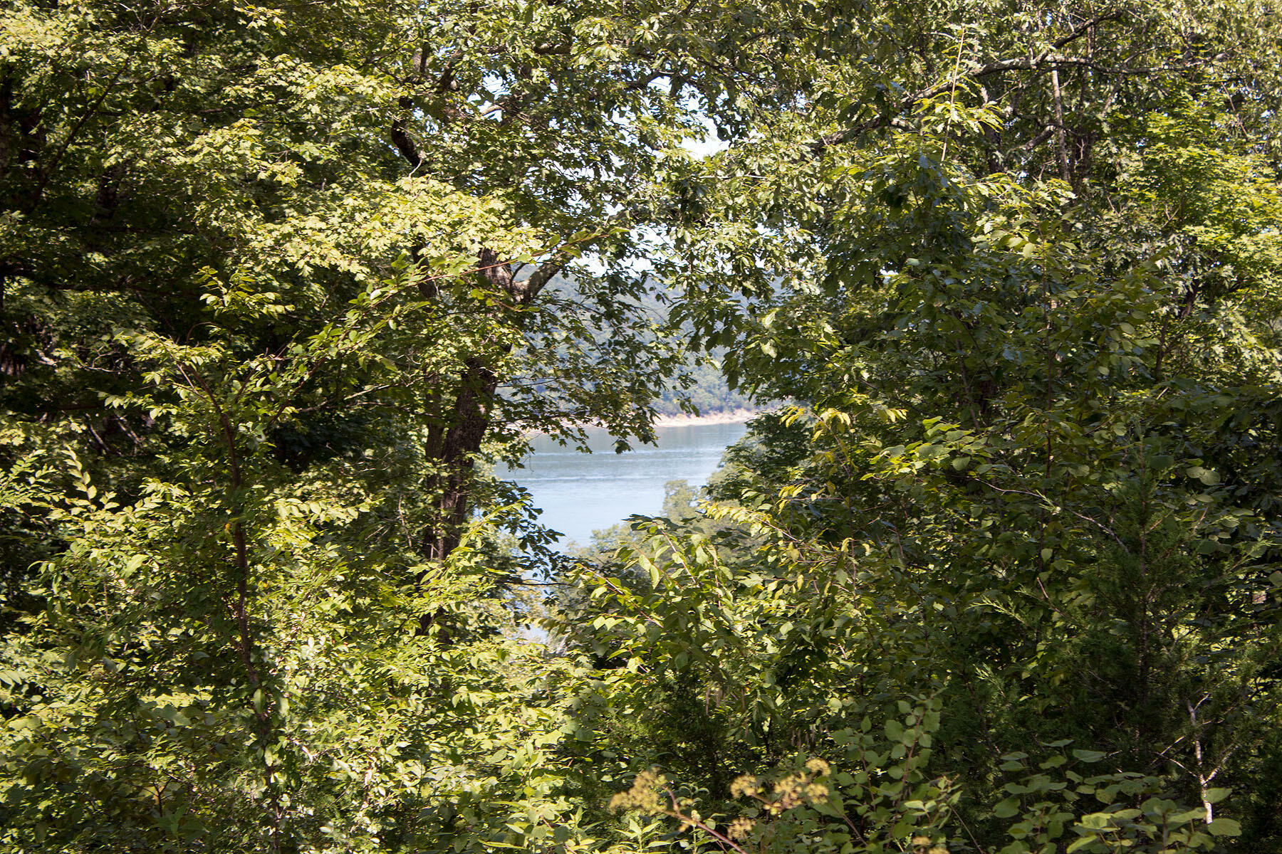 Property Photo:  Lot 59 Cumberland Shores  KY 42633 