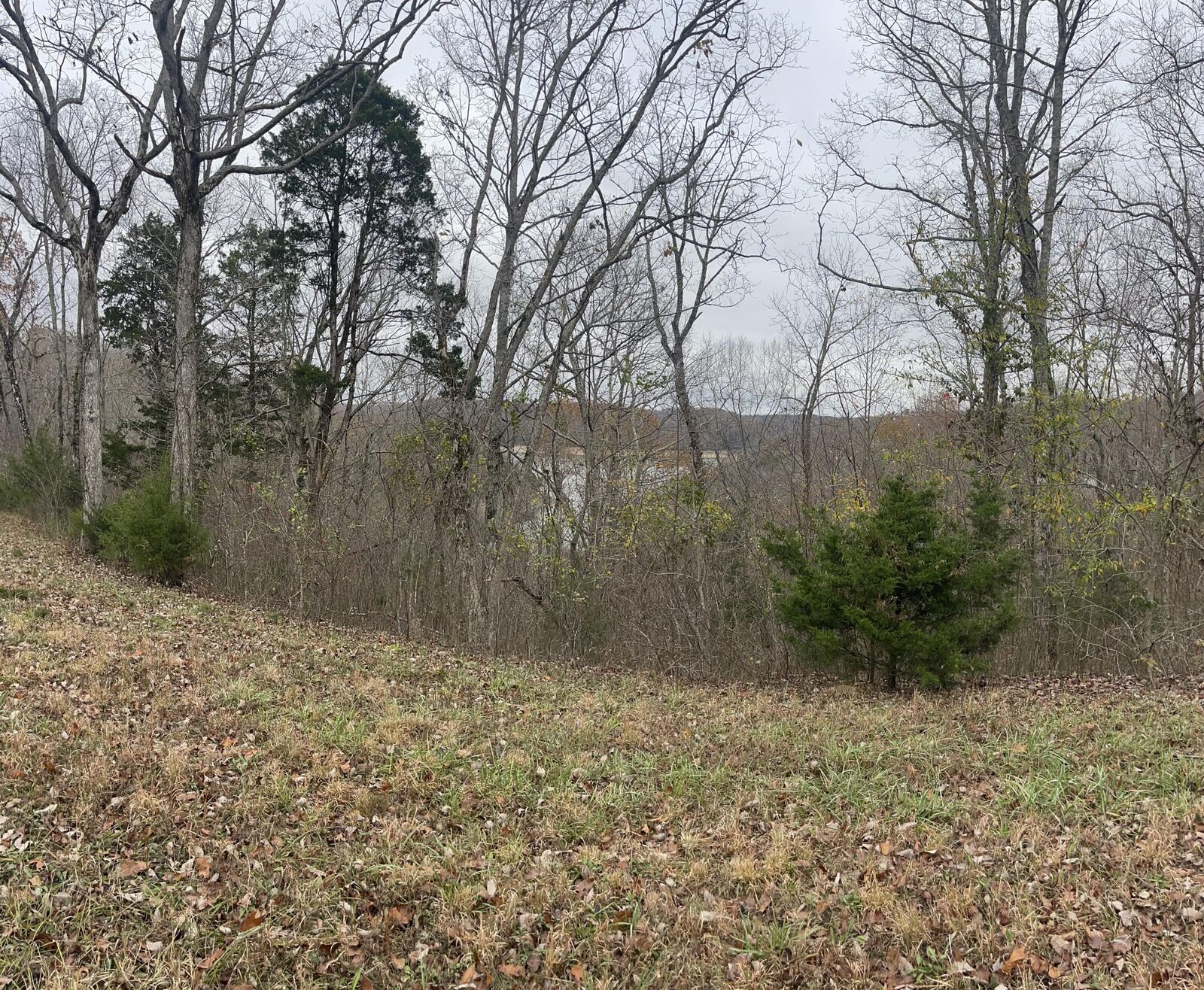 Property Photo: Lot 59 Cumberland Shores KY 42633
