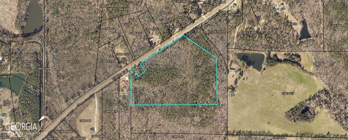 Property Photo:  29.75 Acres US Hwy 80  GA 31050 