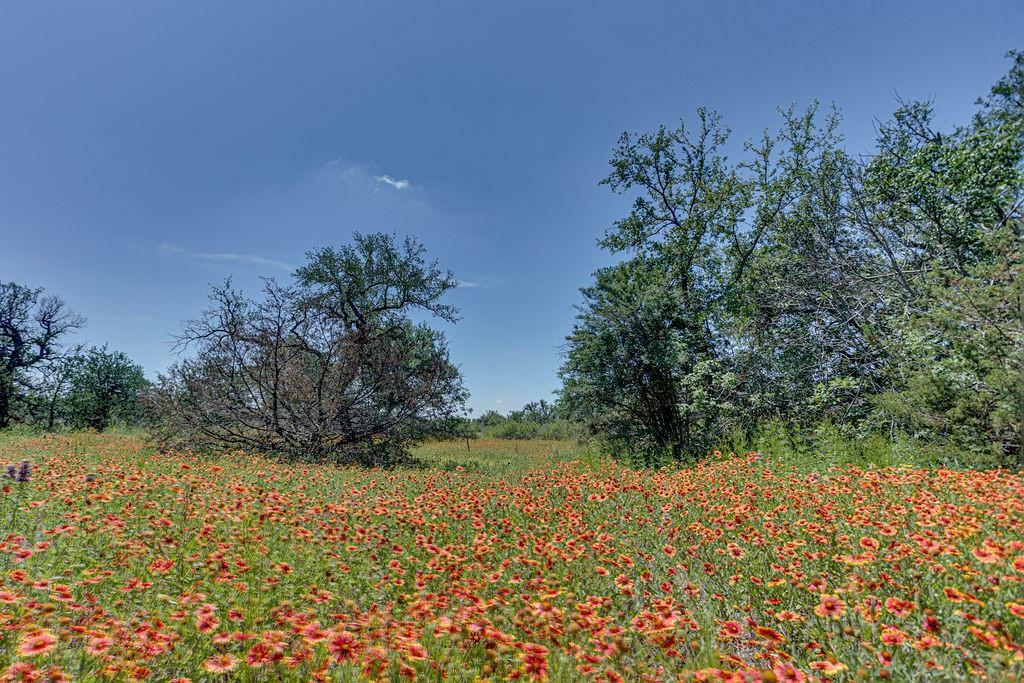 Property Photo:  217 Thomas Len Road  TX 76020 