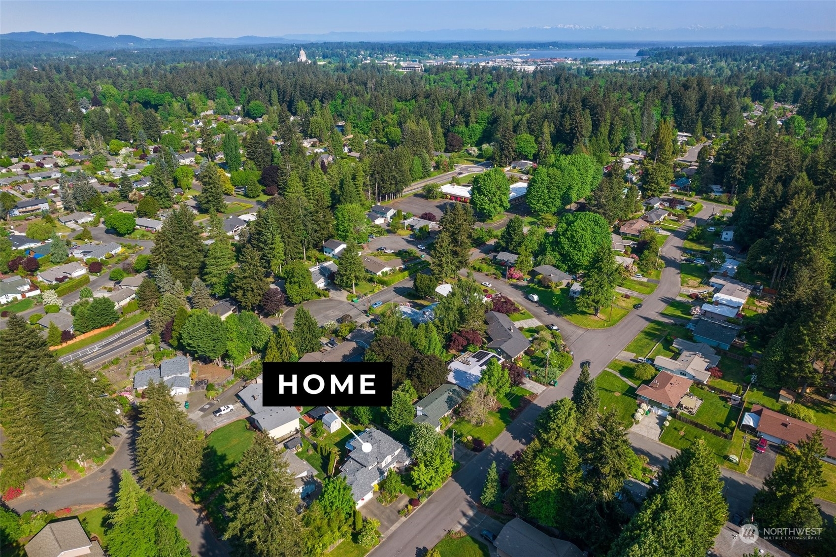 Property Photo:  3113 Fir Street SE  WA 98501 