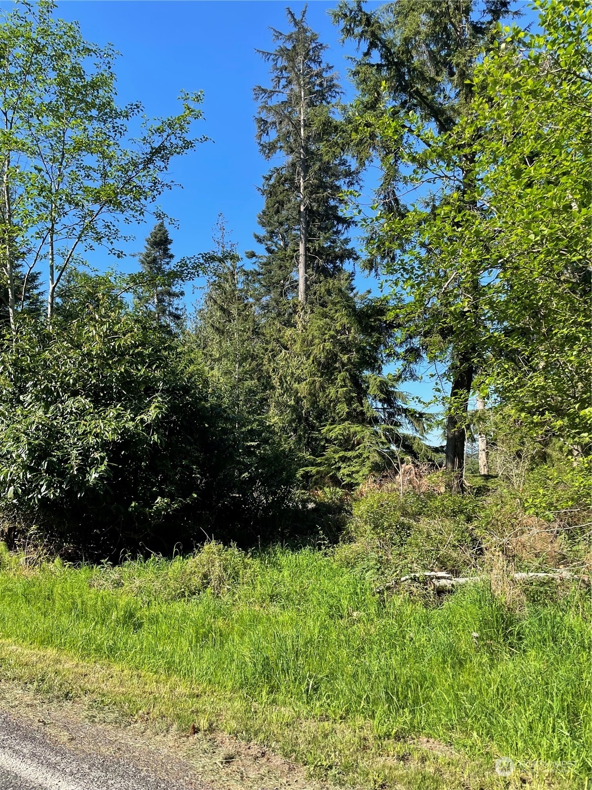 Property Photo:  0 Nhn East Harbor Road  WA 98260 