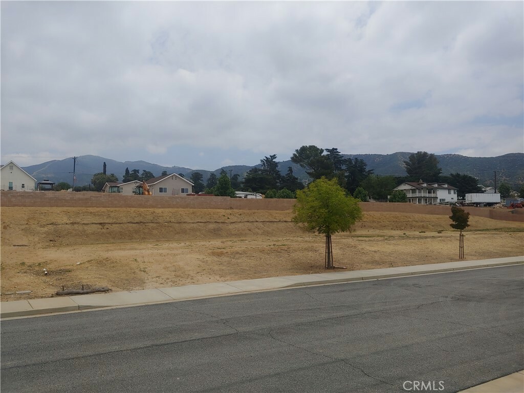 Property Photo:  11241 Oakdel Court  CA 92399 