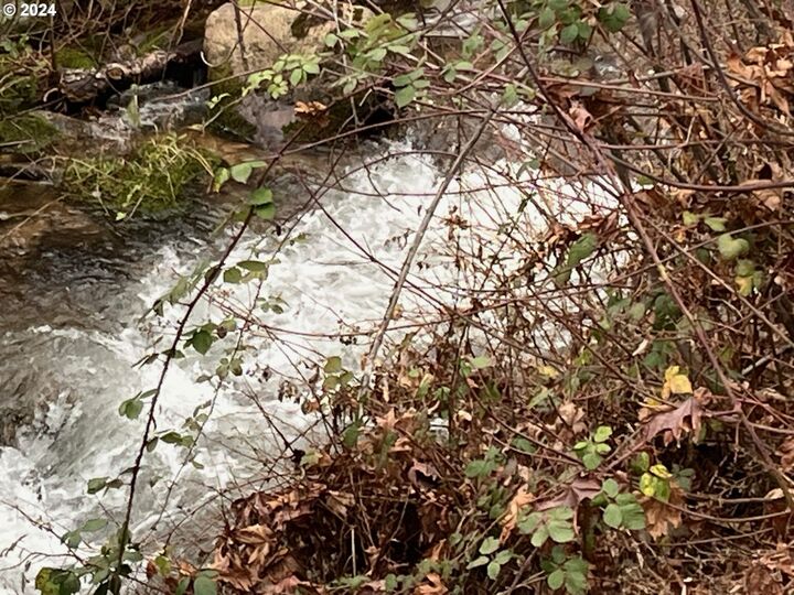 Property Photo:  47983 McKenzie Hwy  OR 97488 