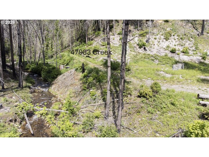 Property Photo:  47983 McKenzie Hwy  OR 97488 