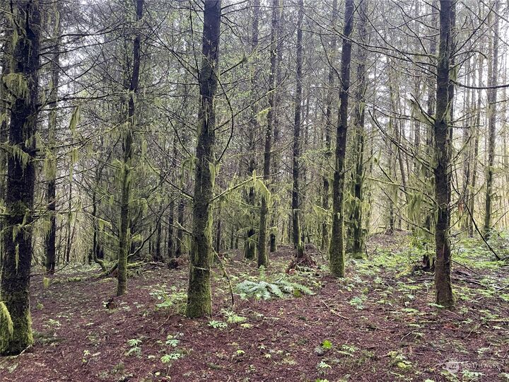 Property Photo: 0 Weyerhaeuser Road WA 98625