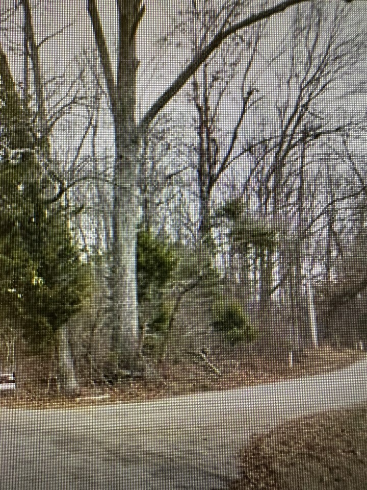 Property Photo:  Lot 5 Yates Lakeview Circle  KY 42164 