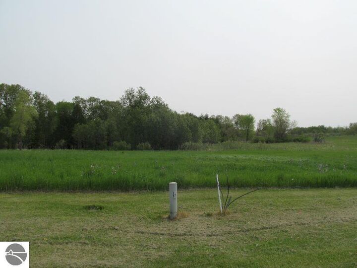 Property Photo:  Lot #2 S Hemlock Street  MI 49657 