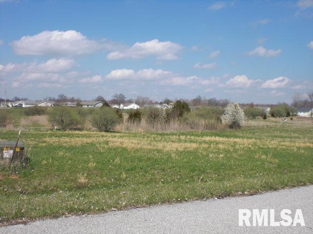 Property Photo: 5651 Arctic Fox Drive IL 62918