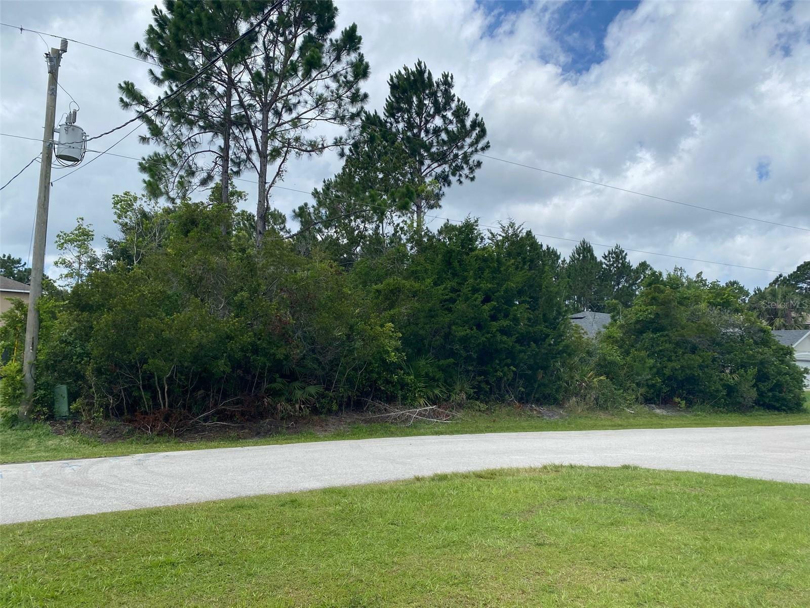 Property Photo:  39 Buttermilk Dr  FL 32137 