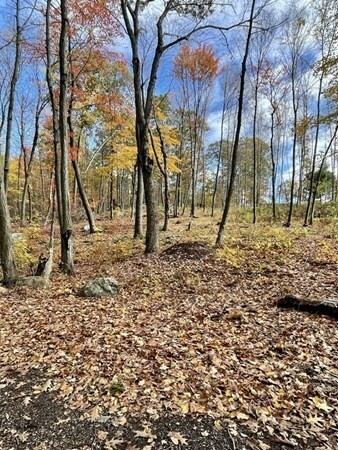 Property Photo: 580 Ridge Rd MA 01095