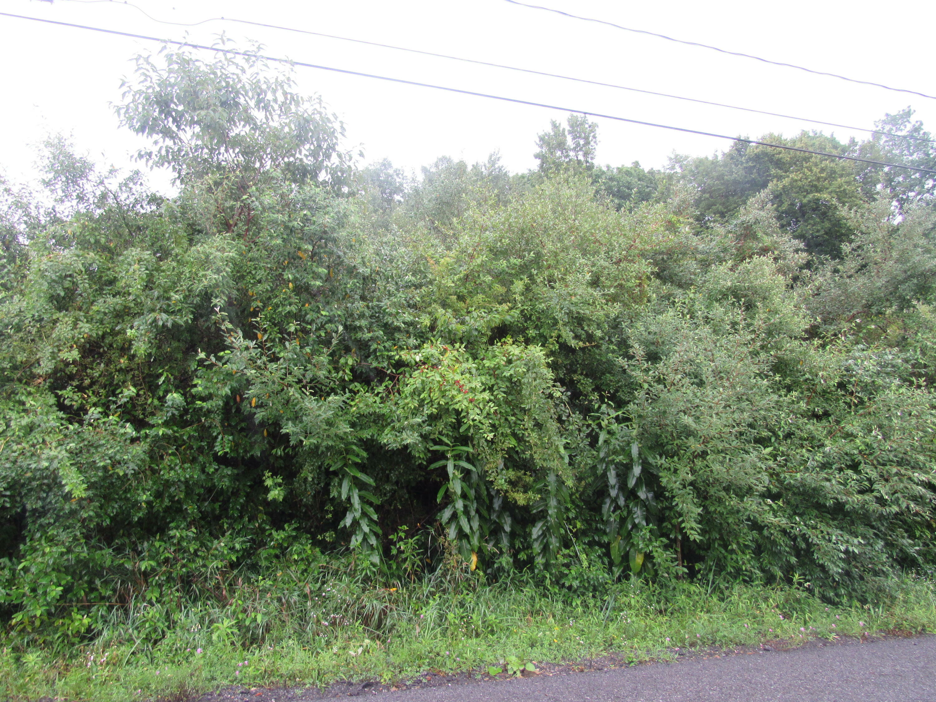 Property Photo:  16 Settlement Point Rd  PA 15801 
