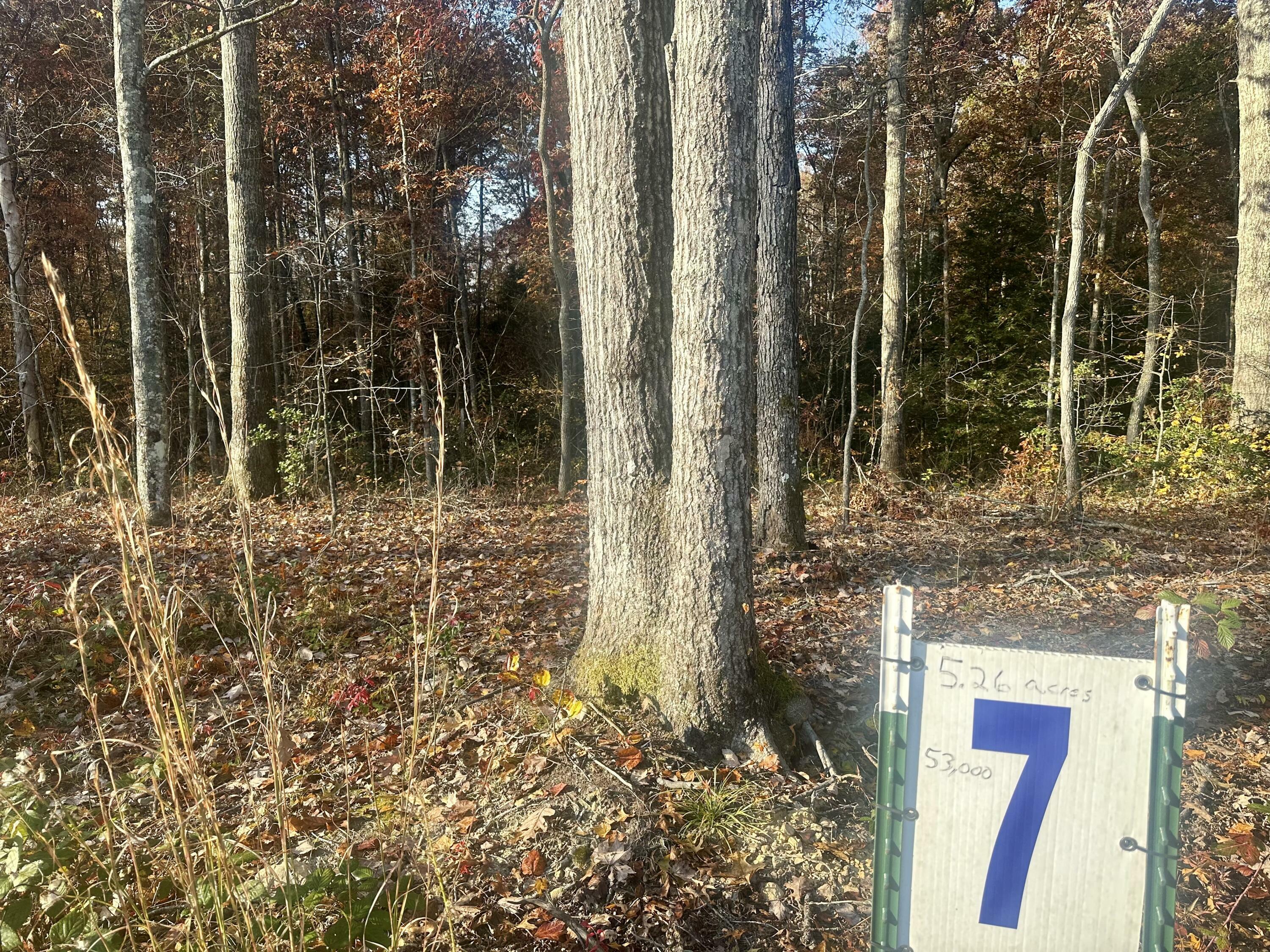 Property Photo:  Tract 7 Bozeman Road  KY 40701 