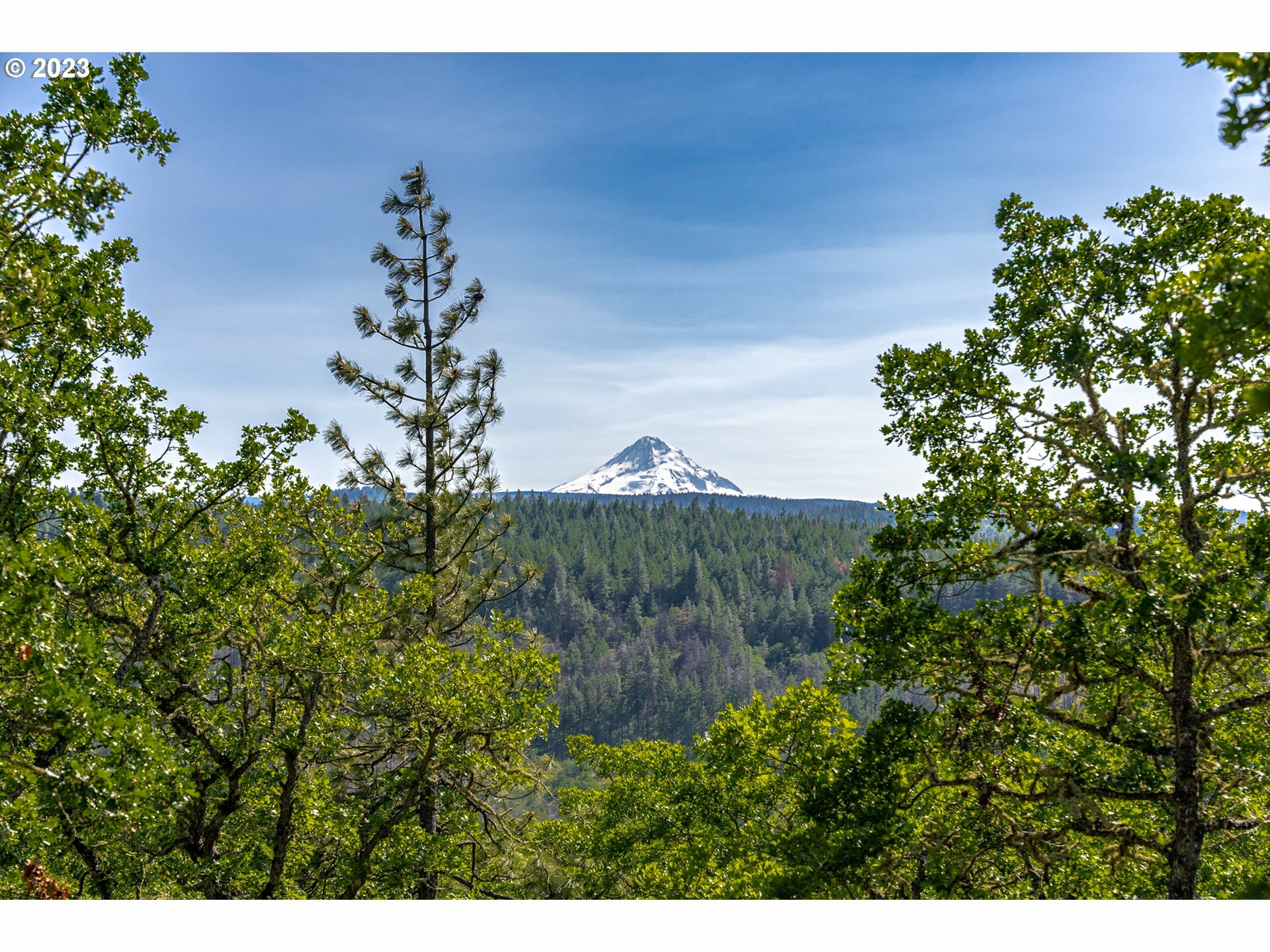 Property Photo: 1888 Paradise Ridge Pl OR 97040