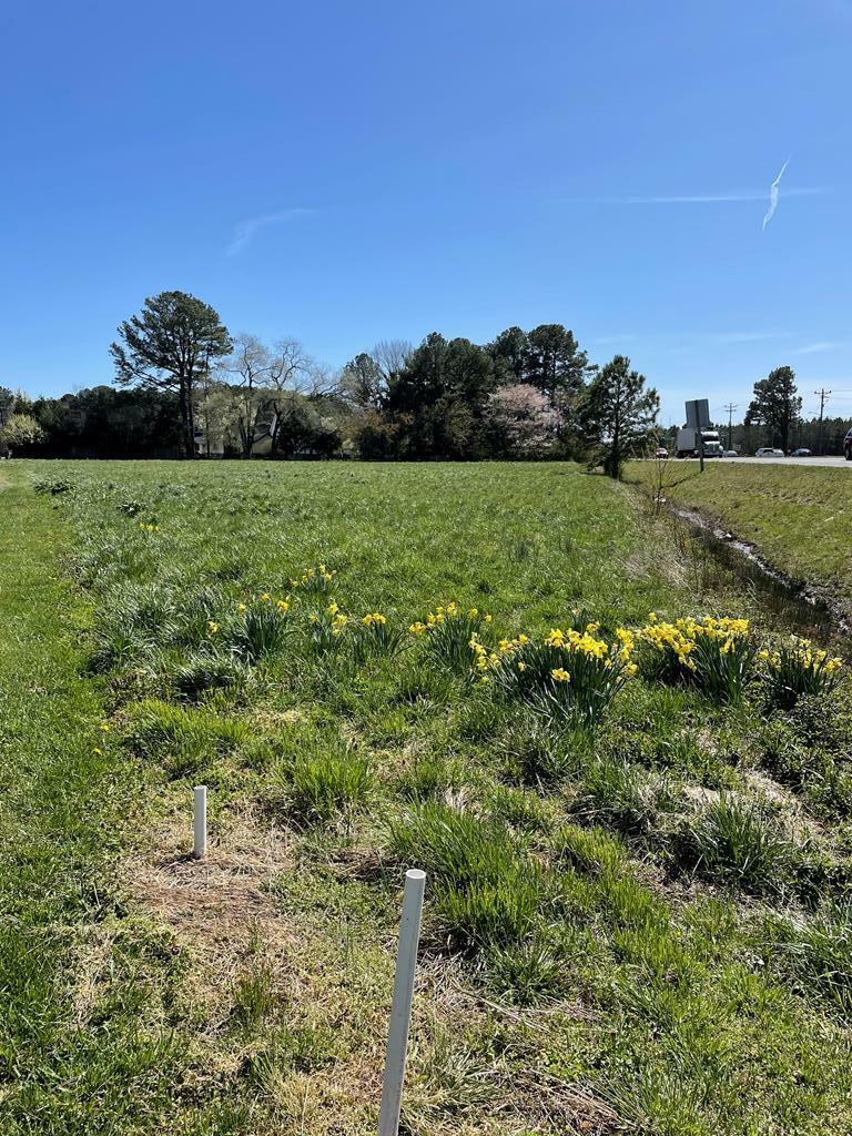 Property Photo:  3 Lots Lankford Hwy  VA 23418 