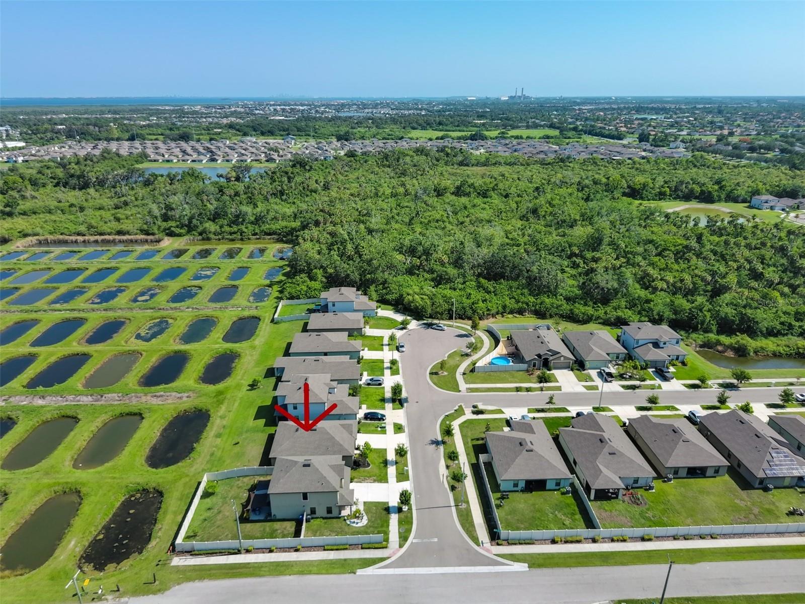 Property Photo: 1104 Wynnmere Meadow Place FL 33570
