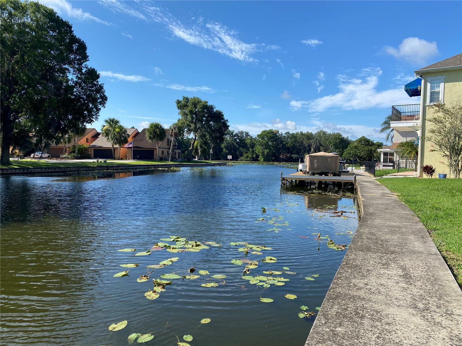 Property Photo:  Palm Harbor Court  FL 34748 