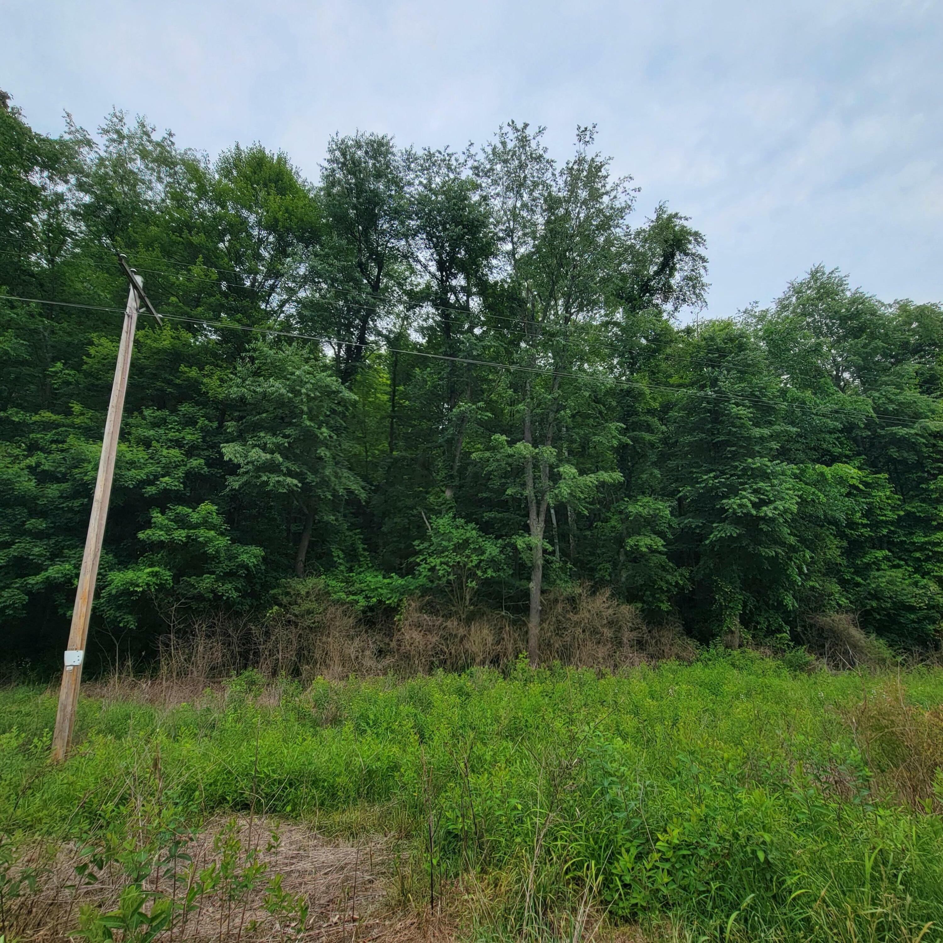 Property Photo:  0 Brushy Fork Road  OH 43055 