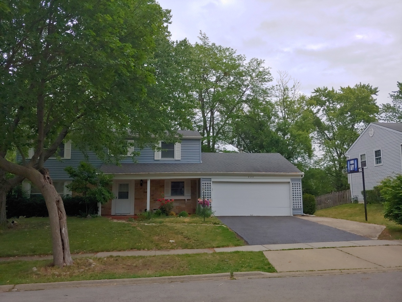 Property Photo:  223 Covington Place  IL 60193 