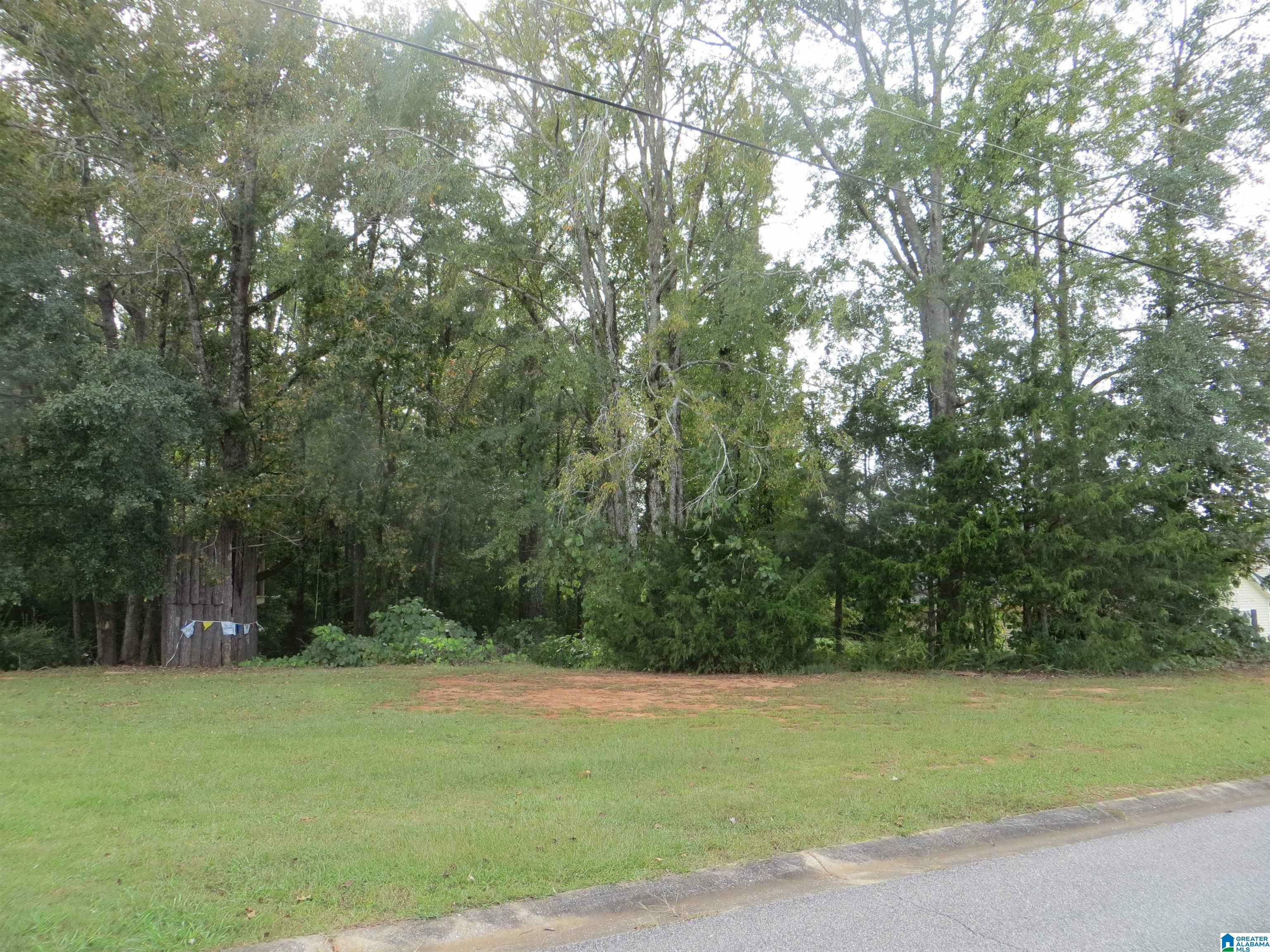 Property Photo:  0 W Glen Drive 1  AL 36250 