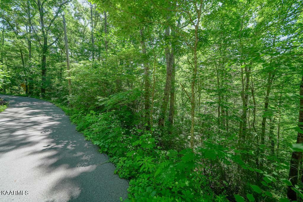 Property Photo: Lot 34 Ownby Circle TN 37738