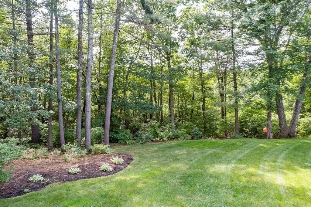 Property Photo: 26 Greenfield Drive NH 03865