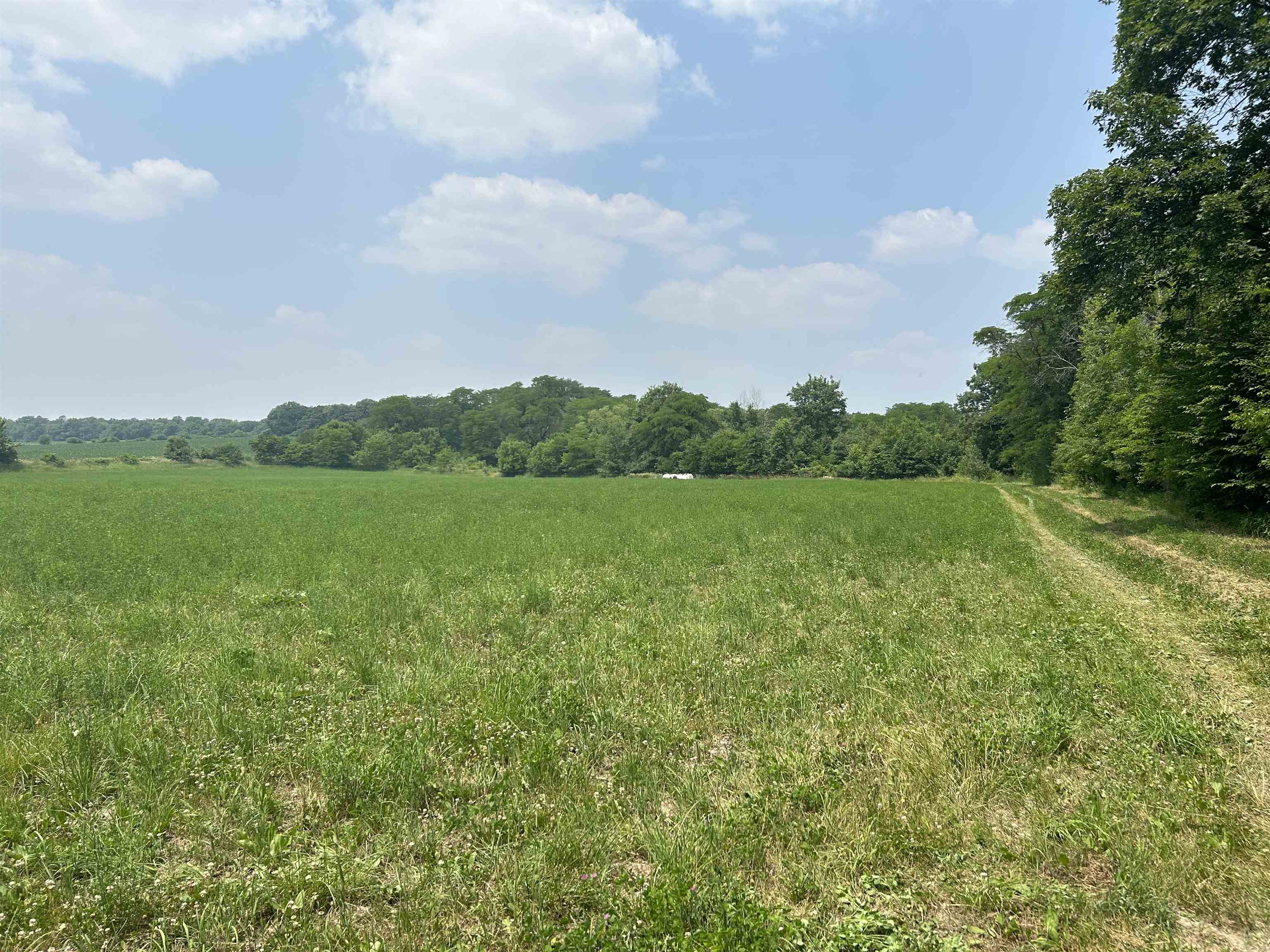 Property Photo:  N River Road Road  IL 61067 