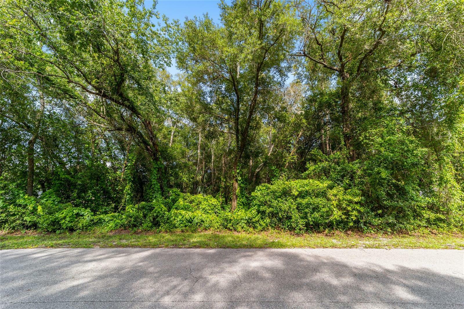 Property Photo:  835 North McGowen Avenue  FL 34429 