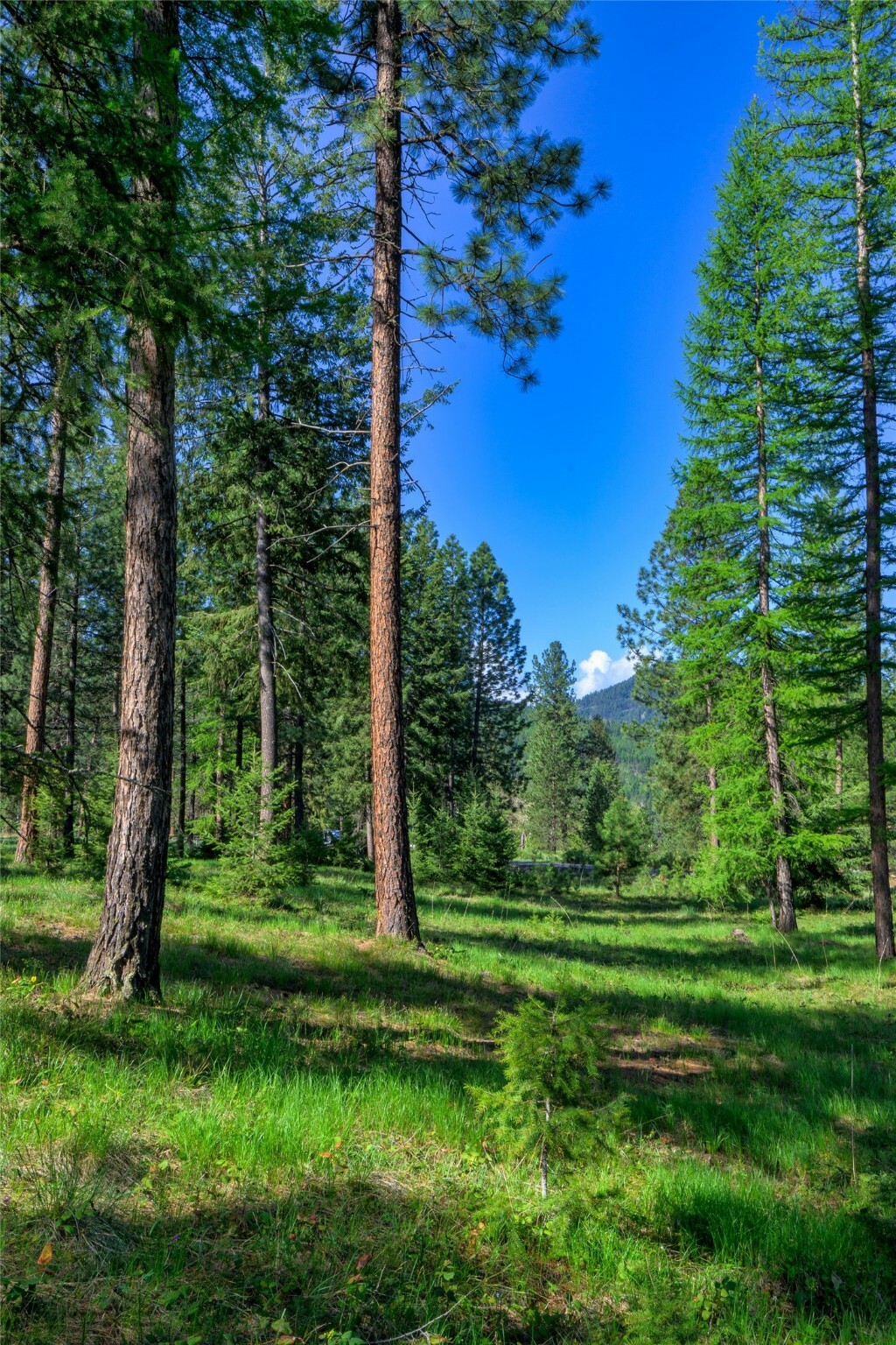 Property Photo:  Nhn River Run Loop  MT 59866 