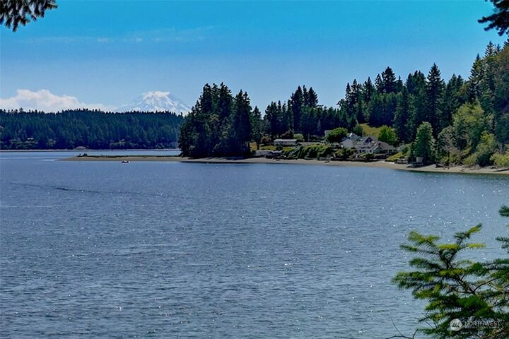 Property Photo: 120 E Fair Harbor Lane WA 98546