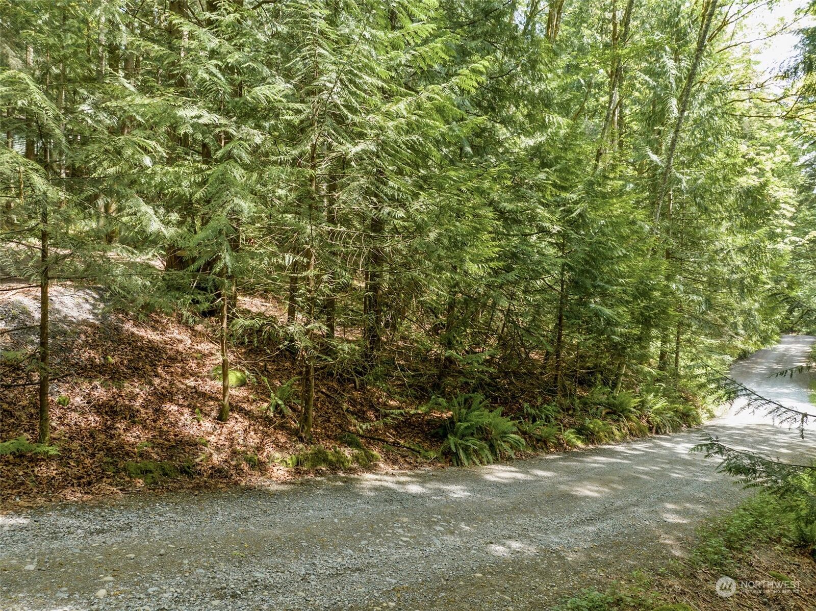 Property Photo:  25318 SE 135th Street  WA 98027 