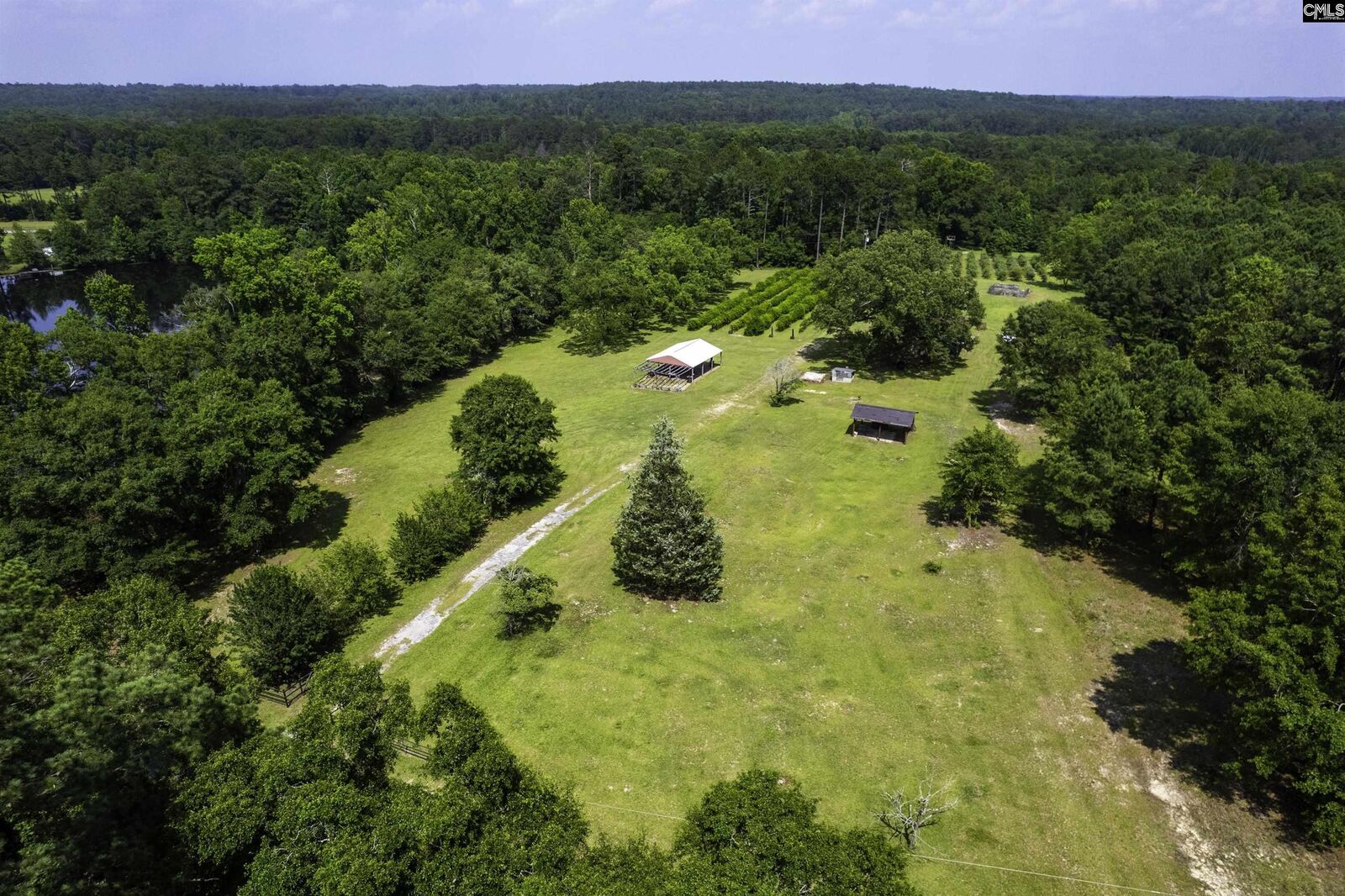 Property Photo: 1247 Lorenzo Davis Rd SC 29044