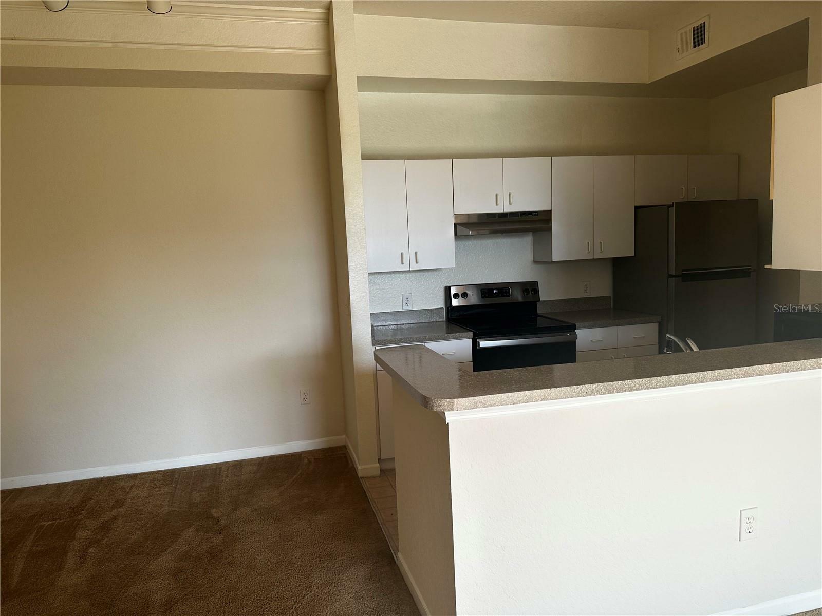 Property Photo: 17102 Carrington Park Drive 322 FL 33647