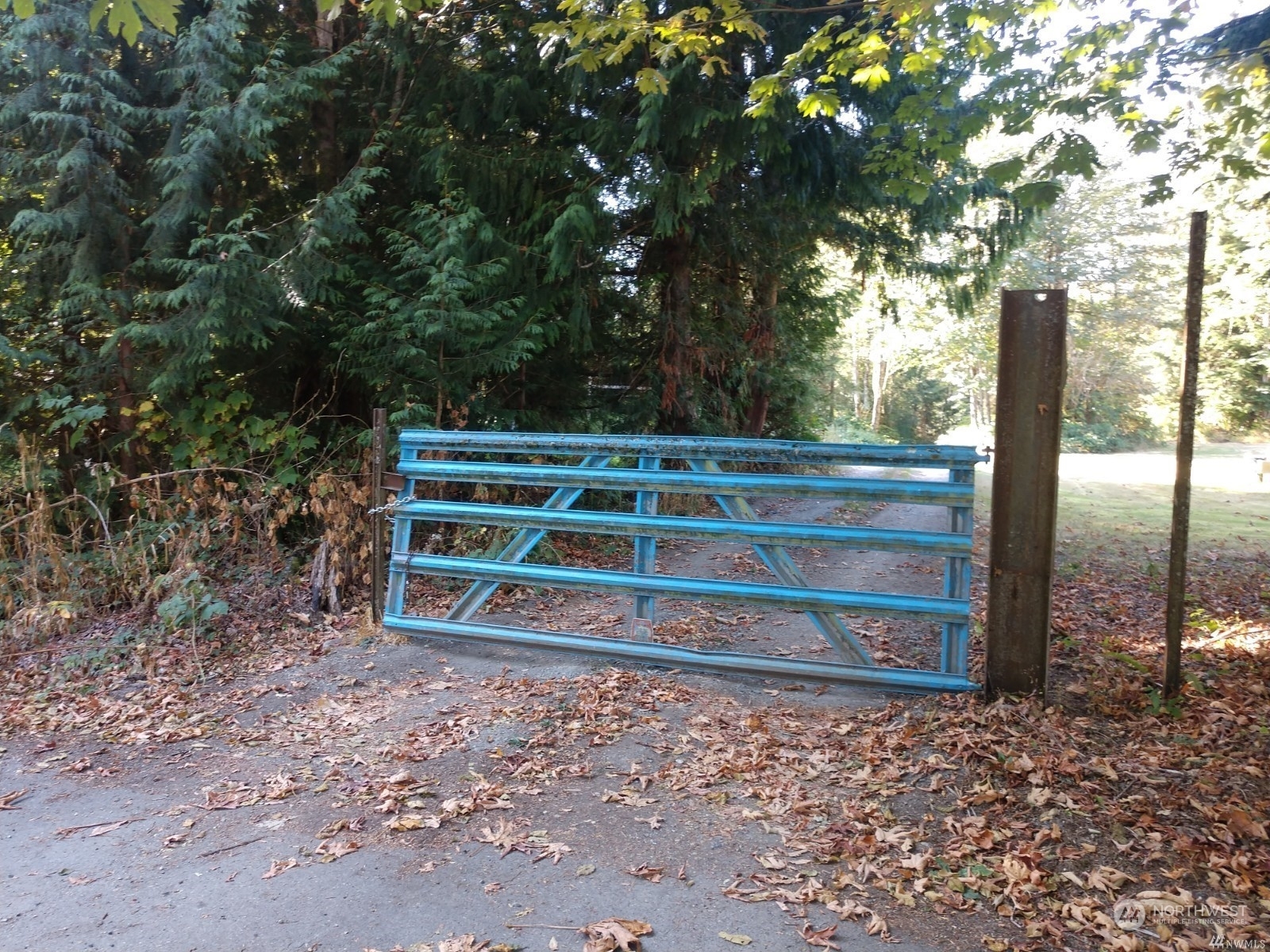 Property Photo: 0 0 Prevedell Road WA 98284