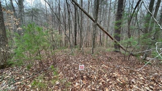 Property Photo: Lot 18 Woods Haven Lane VA 24171