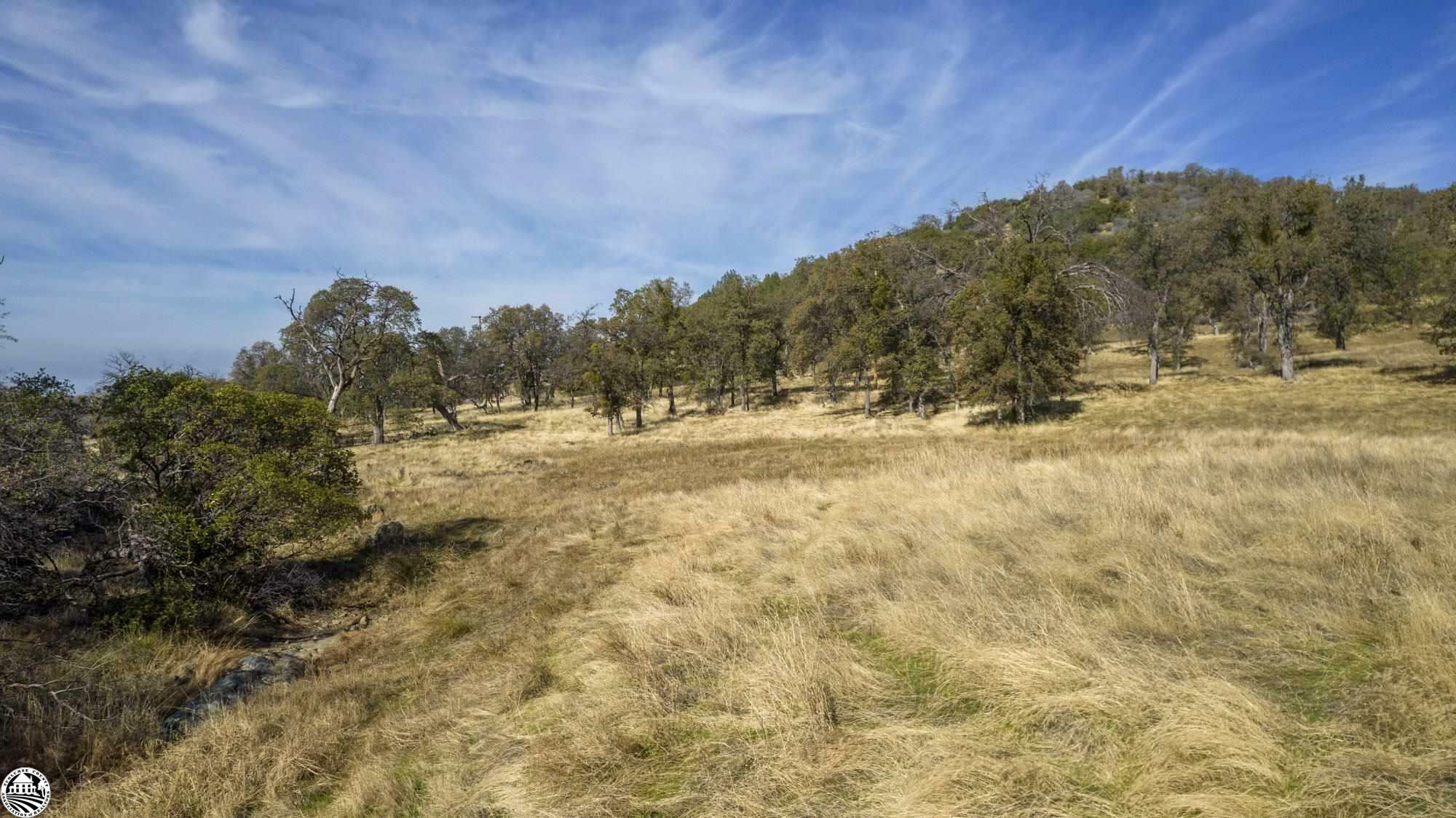 Property Photo:  16275 Moccasin Ranch, Parcel 29 Road  CA 95329 