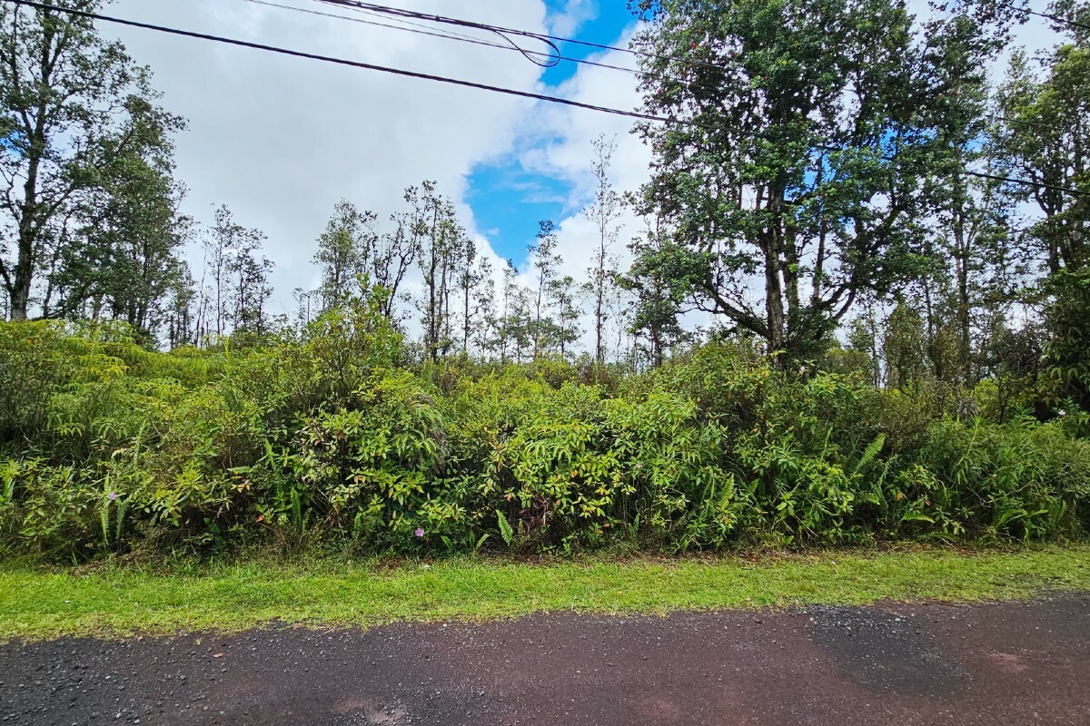 Property Photo:  16-2071 Kuhio Dr  HI 96778 