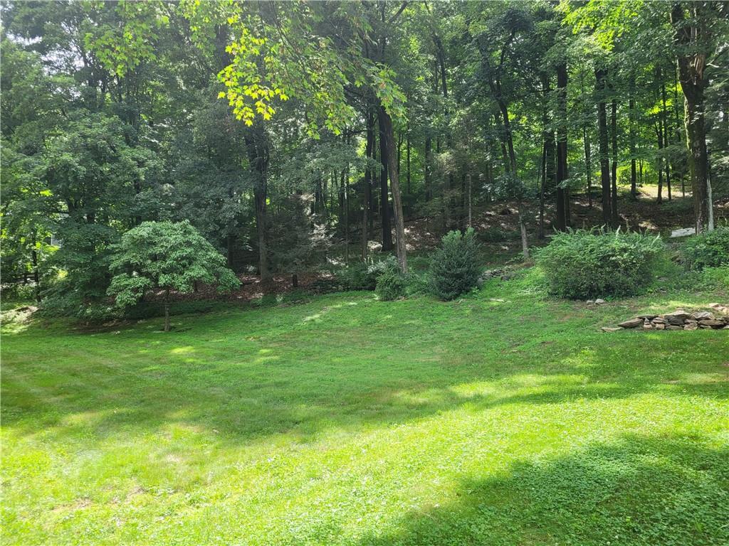 Property Photo: Roosevelt Drive NY 10507