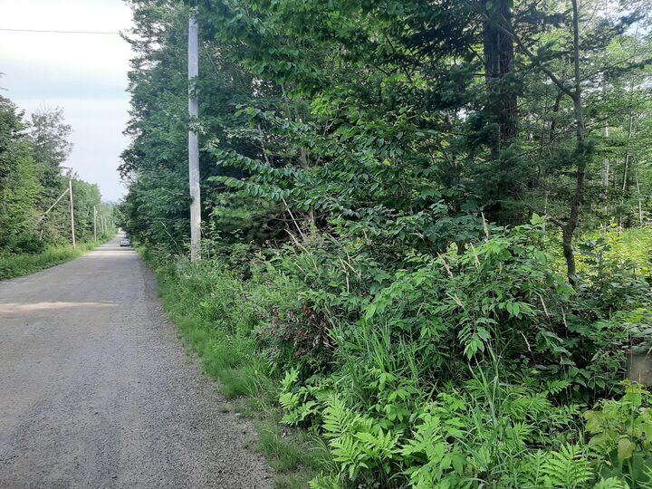 Property Photo:  Lot 3 Ohio Street  ME 04401 