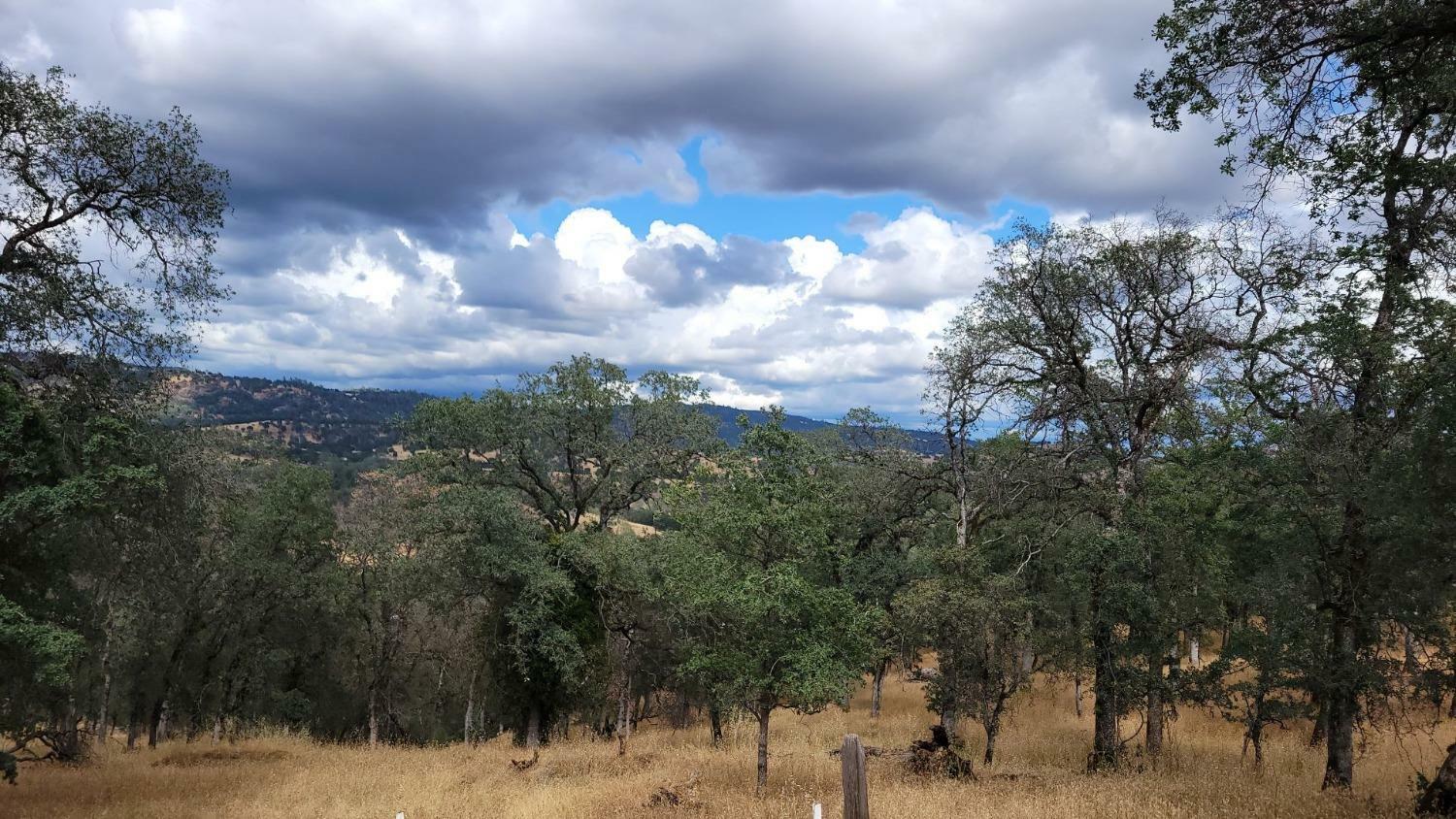 Property Photo:  6432 Bald Mountain Road  CA 95918 