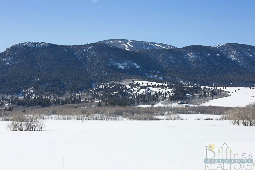 Property Photo: Lot 17A Bear Run Ln MT 59068