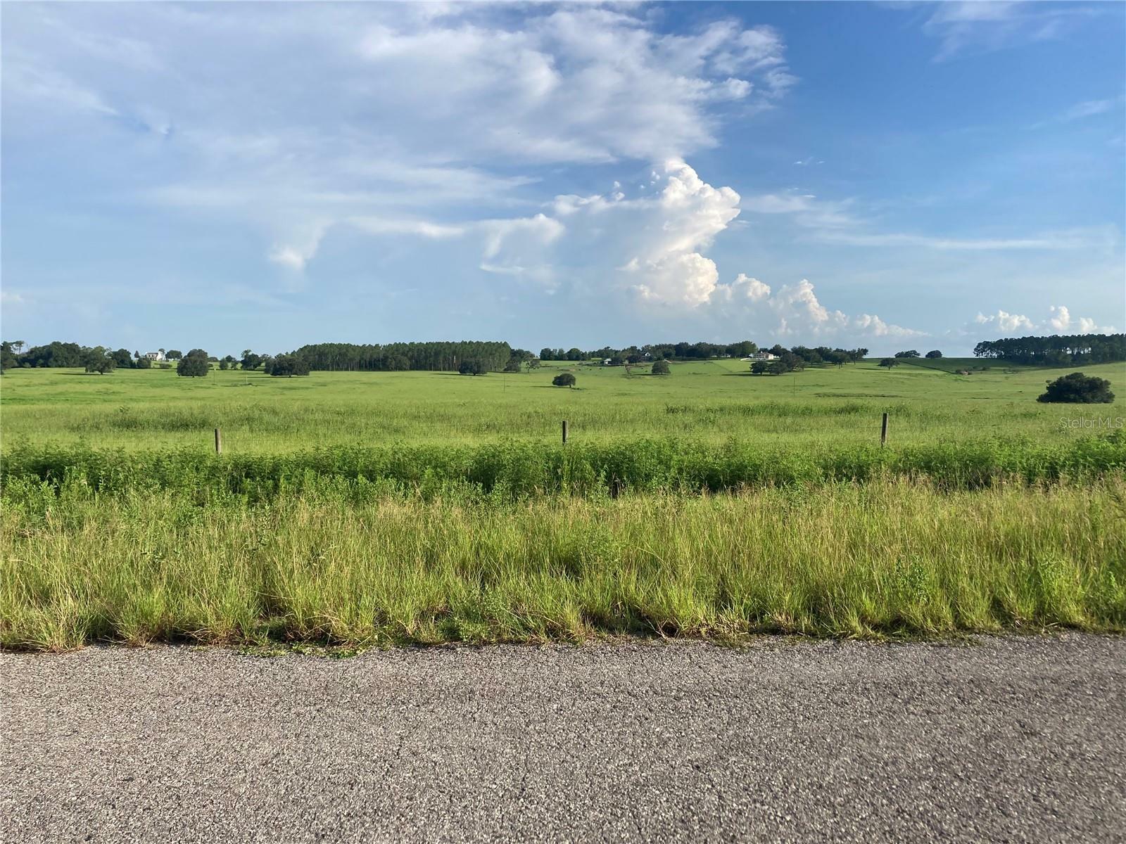 Property Photo:  32079 Power Line Road  FL 34602 