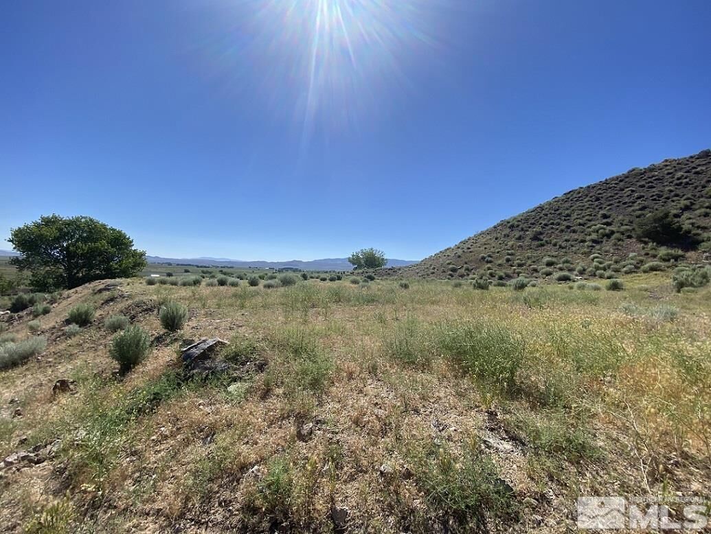 Property Photo:  26 Valley View Drive  NV 89444 