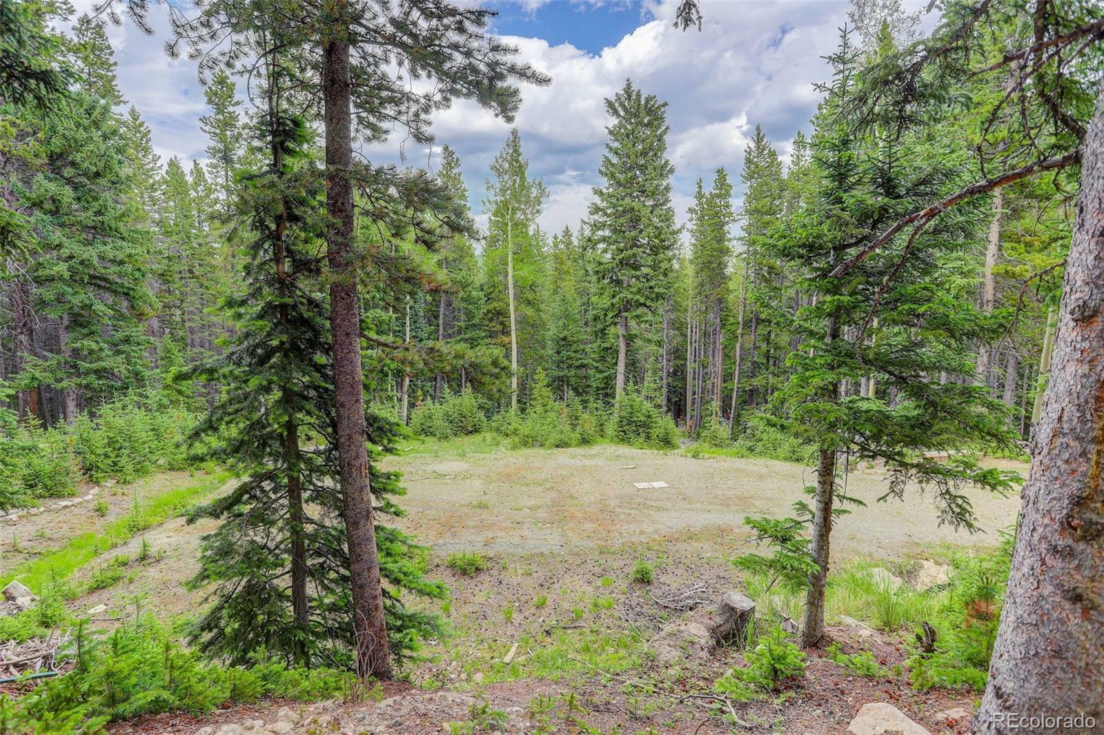 Property Photo:  239 Long Road  CO 80452 