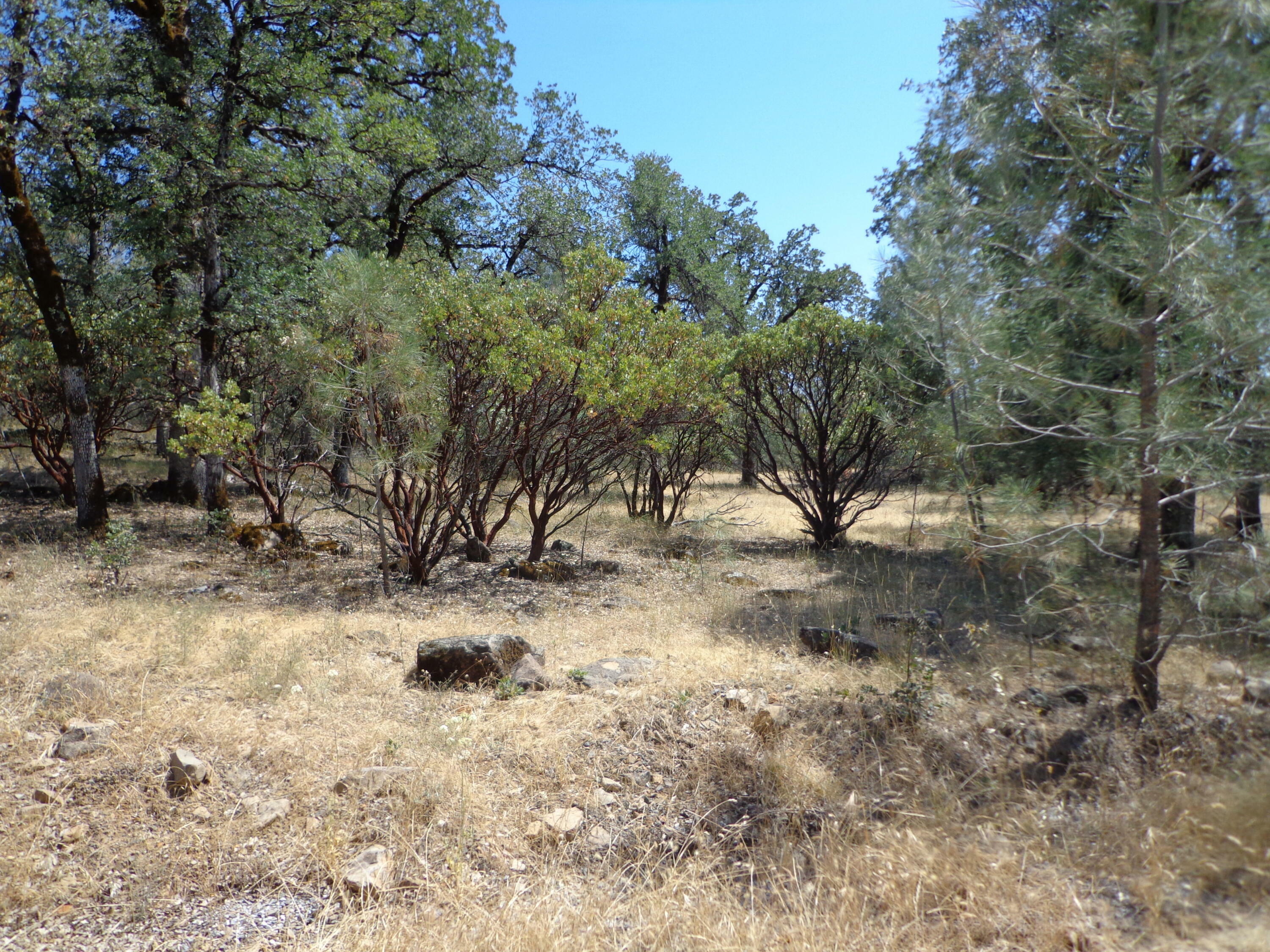 Property Photo:  Green Mountain Rd  CA 96084 