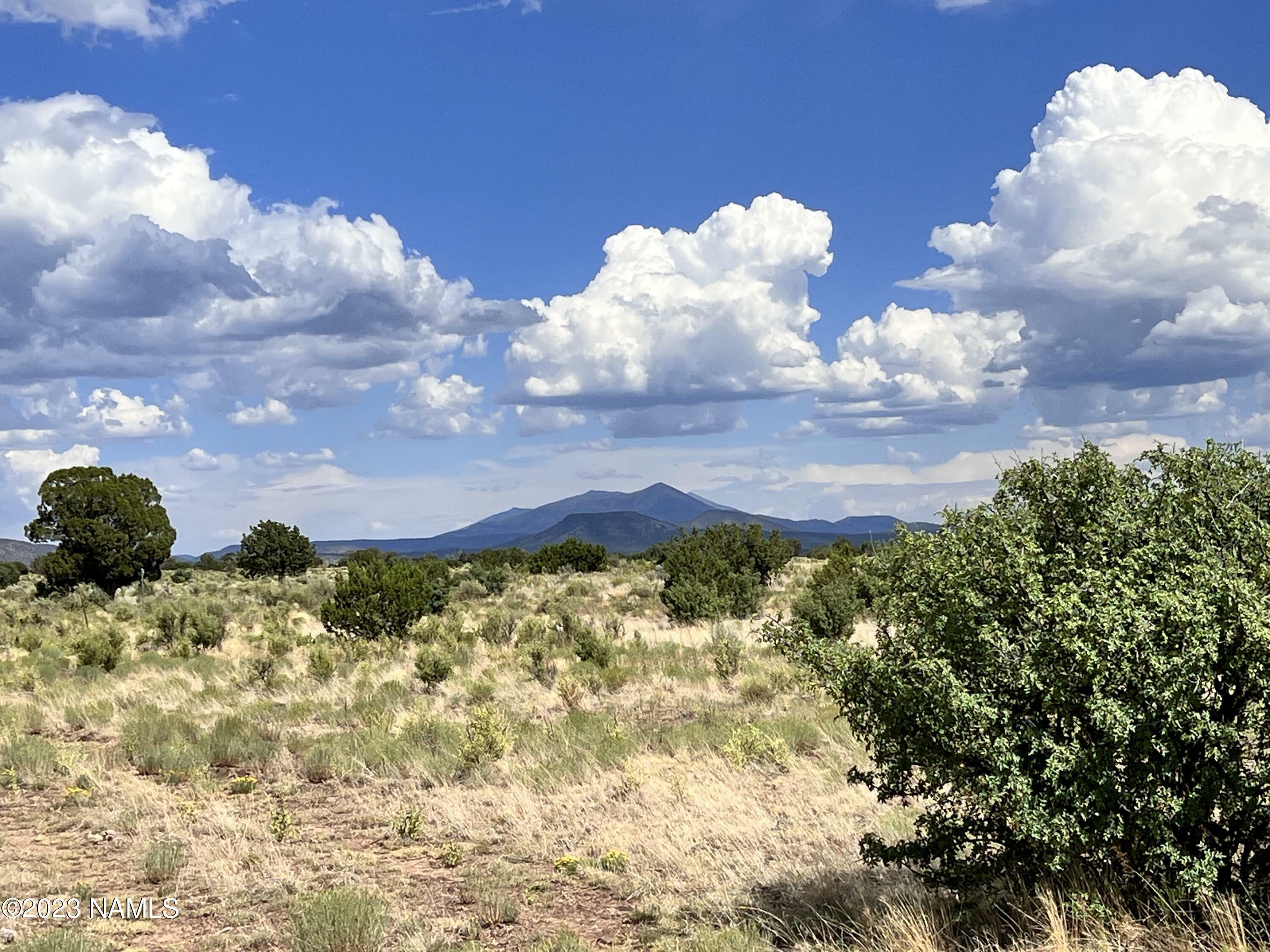 Property Photo:  8180 S Big Bear Road 463  AZ 86046 