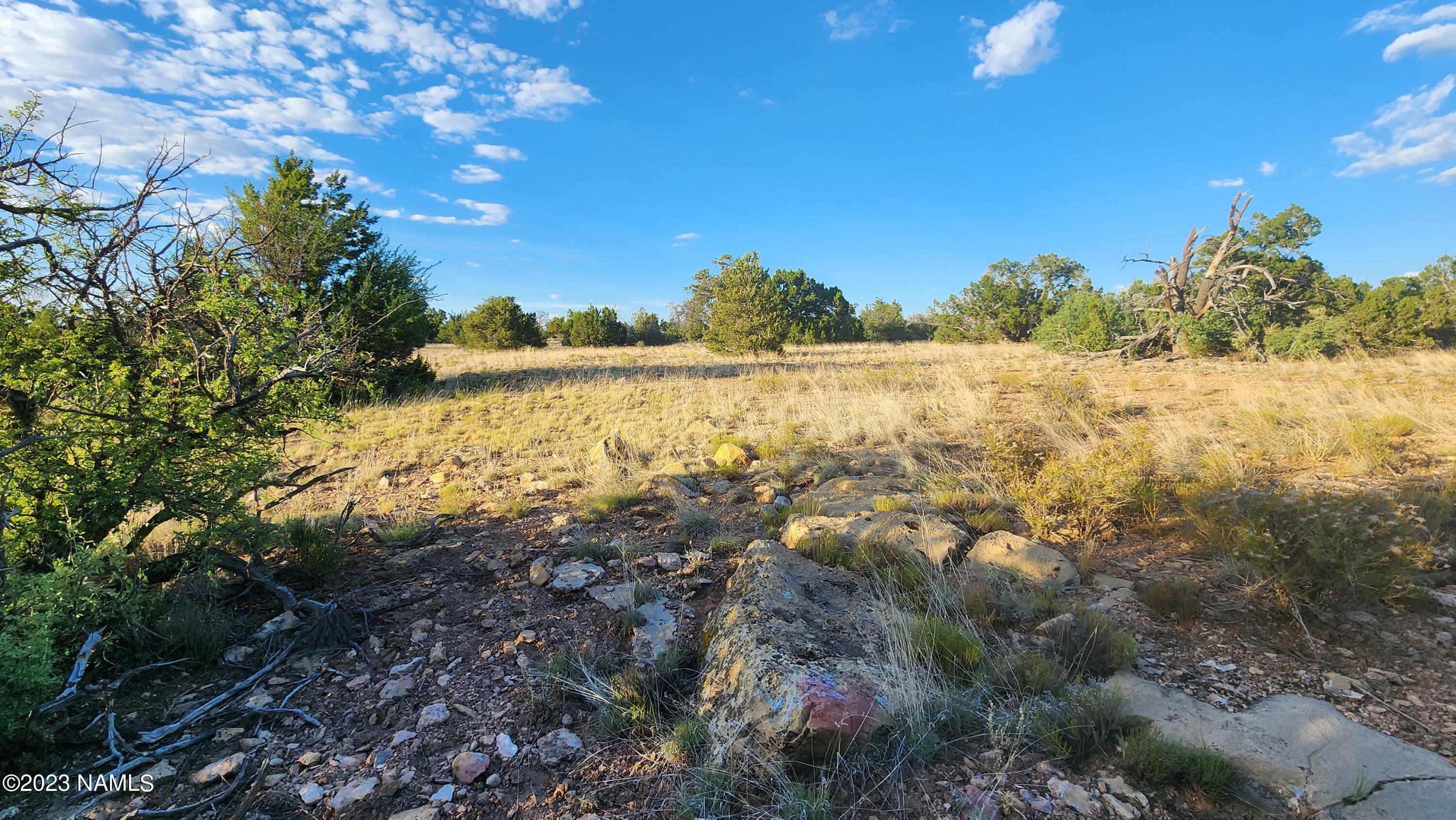 Property Photo:  5854 S Estrella Road  AZ 86046 