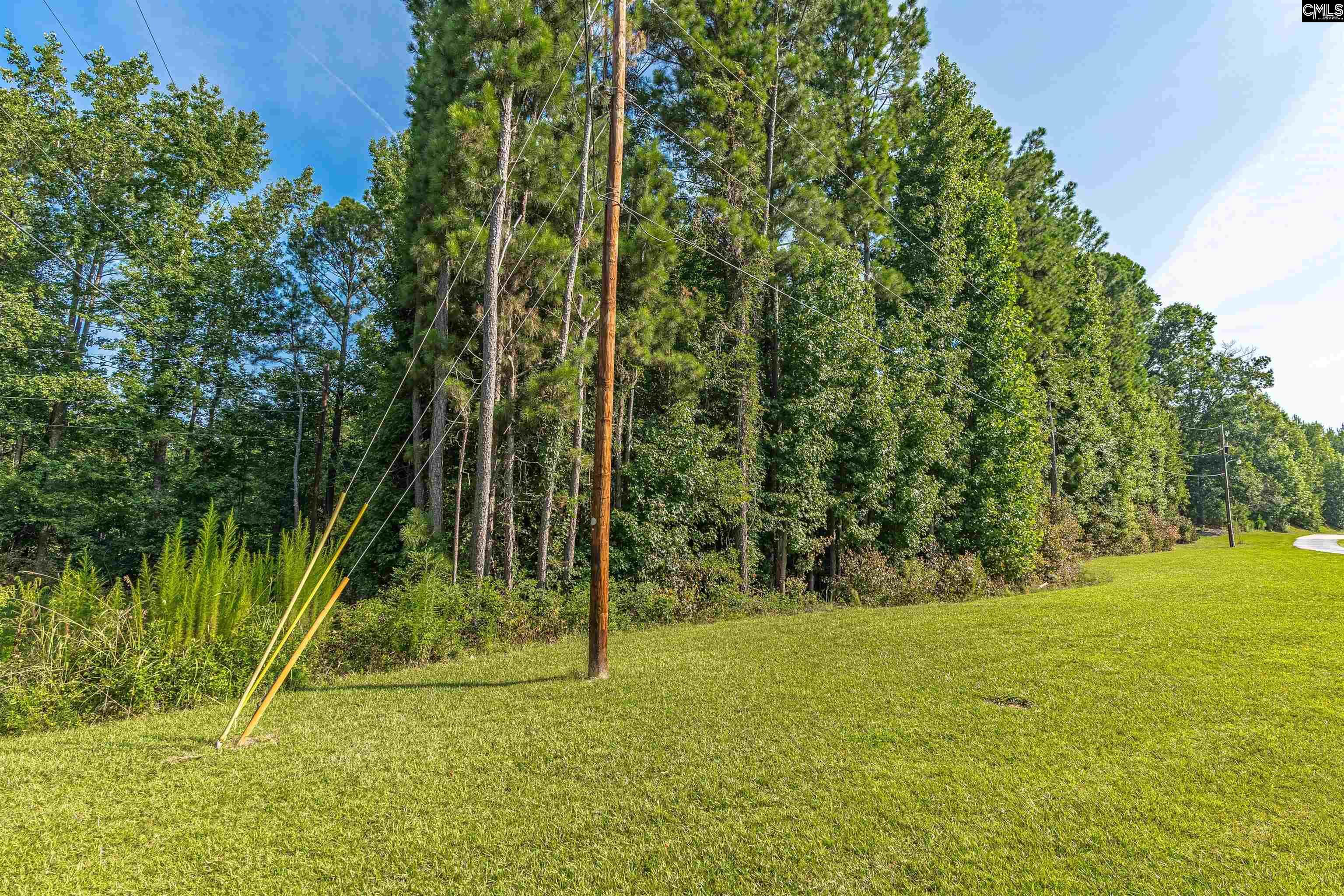 Property Photo: 3 Chop Run SC 29072